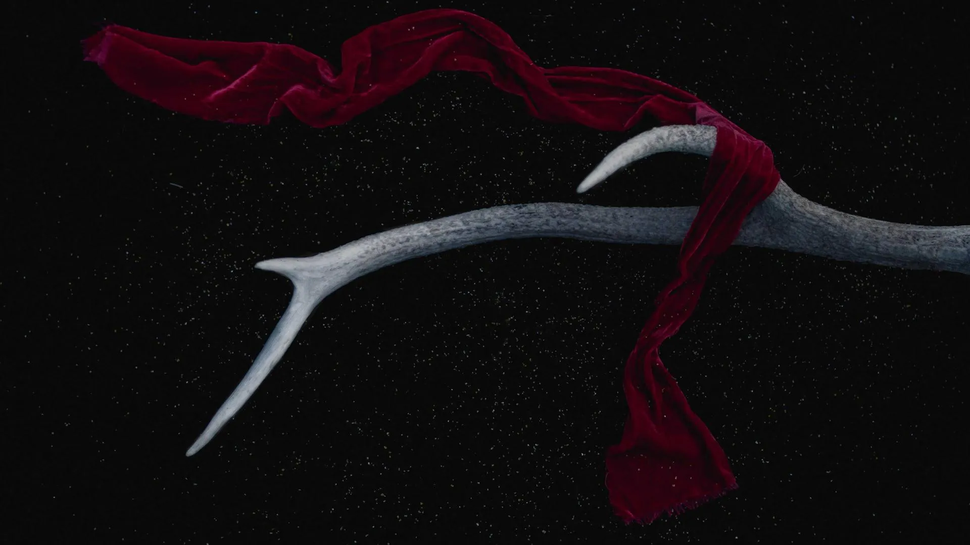 Spazio di lavoro in appartamento MUSE